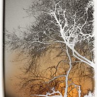 laoma
