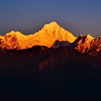 龙蛙