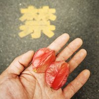 MxH摄影分享