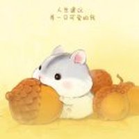 凌菲408