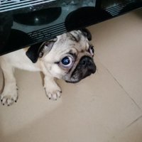 摄影师160346063998215