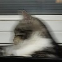 廖廖廖廖廖几啊