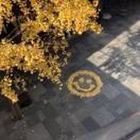 于小鱼儿97