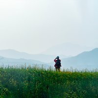 小鱼儿702