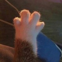 何玉公子