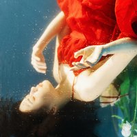 水木清心photo