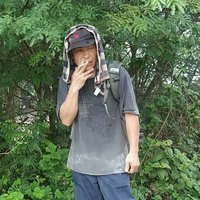 走单的蚂蚁