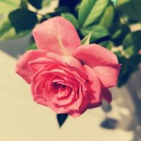摄影师160432121514990