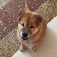 谅笙