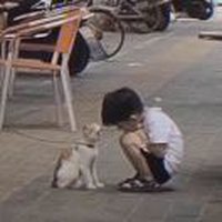手写的从前591