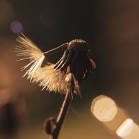 行摄匆匆123