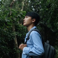 啊颜z