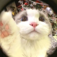 大碗吃饭饭丶