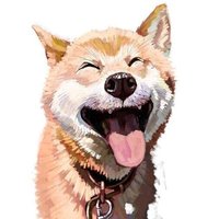 霾狸EX