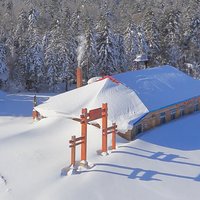 A天涯行客
