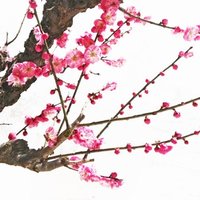 昊轩如意