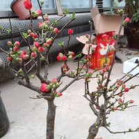 摄影师160552456140511