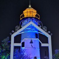 绿萝不开花