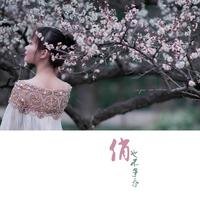 TracyTao