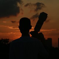 越前离桑