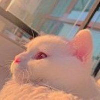 裴馨馨