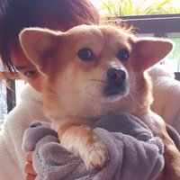 杨盈盈