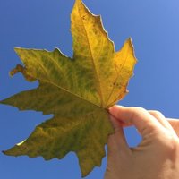 打开灯光