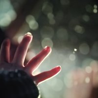 寅文