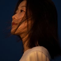 起风了_叶子