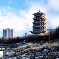 我是笨笨熊