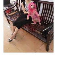 摄影师160756830837161