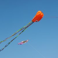 葡萄冻冻加芋圆
