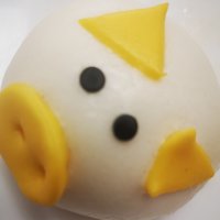 双鱼不是愚