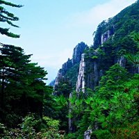 摄影师轻风夜雨