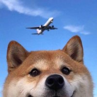 白里透红萝卜头