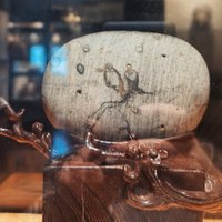 灵山蝴蝶