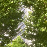 川流不息