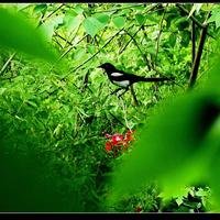 baiya505505505