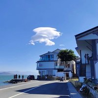 温柔落尽