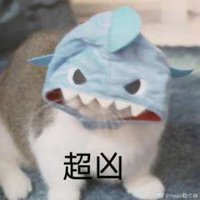 肥啾啾啾啾