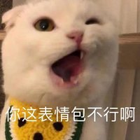 Success曹其响