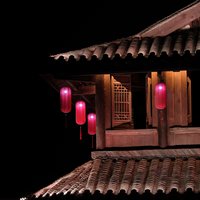 北门九命猫