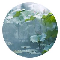 摄影师旭雨