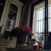 是个麻瓜