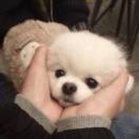 孔总