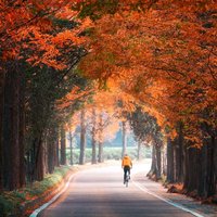三儿别太虎