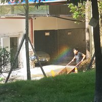 汤姆黄兜兜