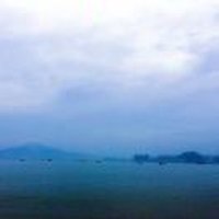 淡漠469