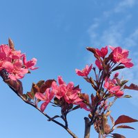 郭433564