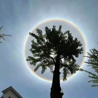 那片海1314
